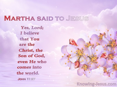 John 11:27 You Are Christ The Son Of God (pink)